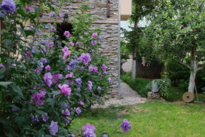 Отель Guesthouse Viktoria  Пештера
